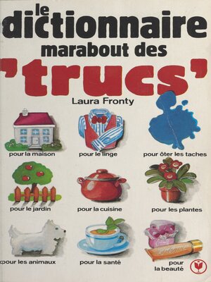 cover image of Dictionnaire marabout des trucs